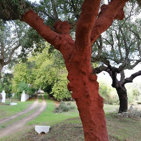 Monte Do Serrado De Baixo Évora Eksteriør bilde